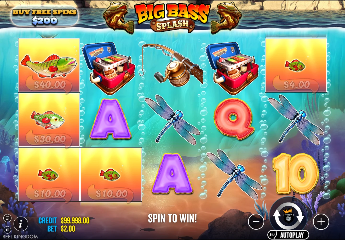 Big Bass Splash reels with money fish values